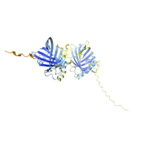 Pufferfish saxitoxin and tetrodotoxin binding protein type 1_5_57