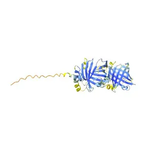 Pufferfish saxitoxin and tetrodotoxin binding protein type 2_5_67