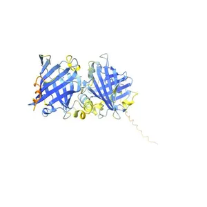 Pufferfish saxitoxin and tetrodotoxin binding protein type 2_6_33