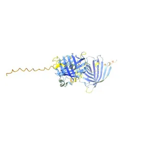 Pufferfish saxitoxin and tetrodotoxin binding protein type 1_8_147
