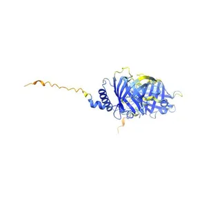 Pufferfish saxitoxin and tetrodotoxin binding protein type 1_Lee