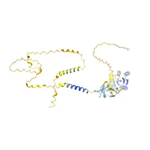 Anthrax toxin receptor 2
