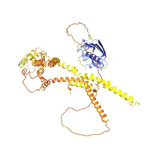 Type VII secretion system protein EssD