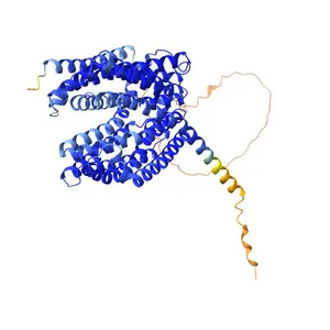 Multidrug and toxin extrusion protein 1