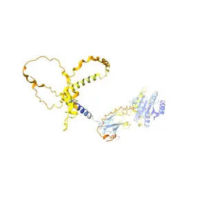 Anthrax toxin receptor 2