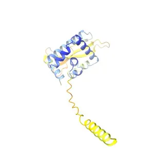 Sporulation delaying protein C