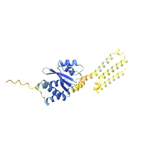 Stage II sporulation protein SA