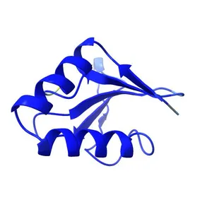 Toxin YoeB