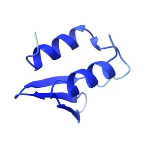 Probable mRNA interferase toxin HicA