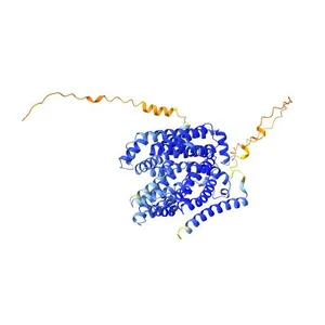 Multidrug and toxin extrusion protein 2
