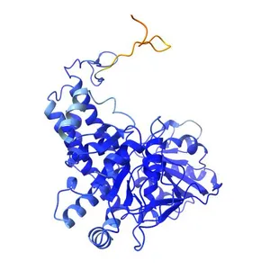 Hydroxylamine reductase