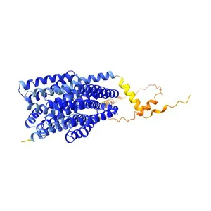 Multidrug and toxin extrusion protein 1