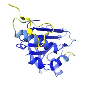 Alkyl hydroperoxide reductase C
