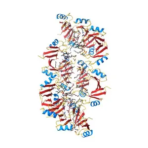 Crystal structure of the Plant Defensin NaD1 complexed with phosphatidic acid