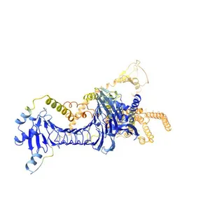 ApxII toxin