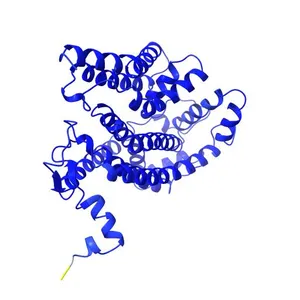 Cytochrome b