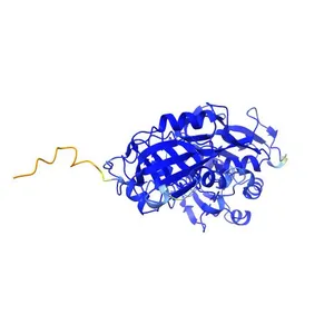 Carbamoyl-phosphate synthase small subunit