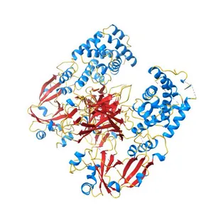 Crystal structure of diphtheria toxin from crystals obtained at pH 5.0