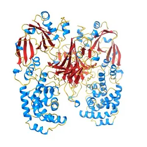 NUCLEOTIDE-FREE DIPHTHERIA TOXIN