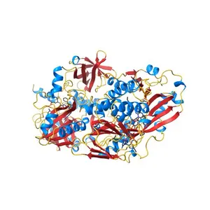 Crystal structure of the mature form of rat DMGDH complexed with tetrahydrofolate