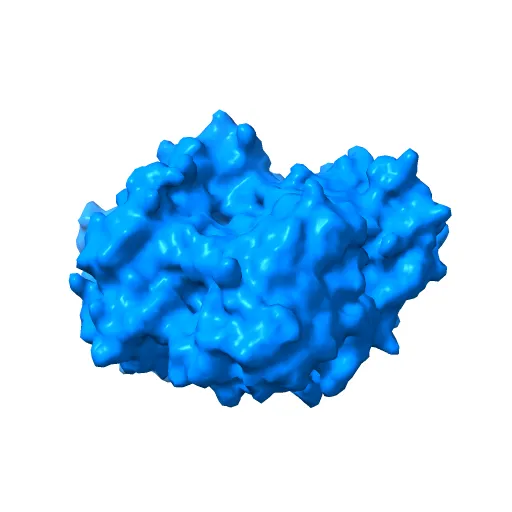 Crystal structure of the mature form of rat DMGDH complexed with tetrahydrofolate — Фото 2 из 13