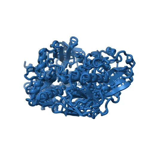 Crystal structure of the mature form of rat DMGDH complexed with tetrahydrofolate — Фото 5 из 13
