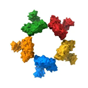 Cryo-EM structure of the Tc toxin TcdA1 in its pore state (obtained by flexible fitting)
