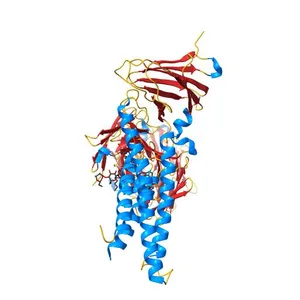 Cryo-EM structure of human claudin-4 complex with Clostridium perfringens enterotoxin C-terminal domain and sFab COP-1