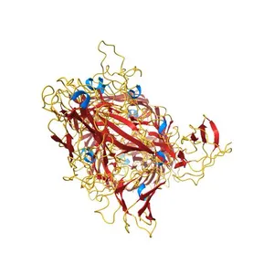 Cryo-EM structure of E. coli P pilus tip assembly intermediate PapC-PapD-PapK-PapG in the first conformation