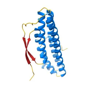 Crystal structure of selenomethionine-containing AcaB from uropathogenic E. coli
