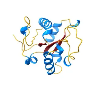 Crystal Structure of the TIR-domain of Human Myeloid Differentiation Primary Response protein (MyD88)