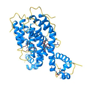 Directed evolution of a biosensor selective for the macrolide antibiotic clarithromycin