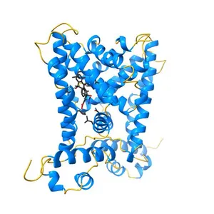 TtgR in complex with Tetracycline