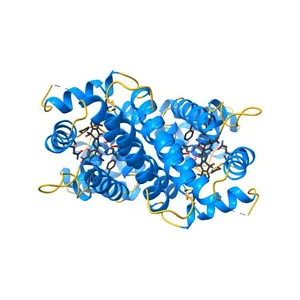 Tet repressor class D complexed with cobalt and tetracycline