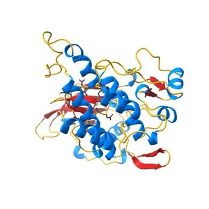 KIT kinase domain in complex with sunitinib