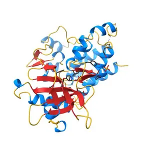 Structure of c-Kit with allosteric inhibitor 3G8