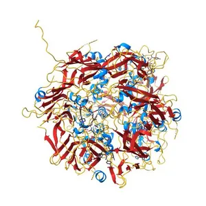 Crystal structure of VACV D13 in complex with Rifabutin