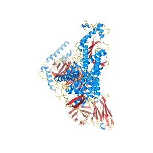 Cryo-EM structure of the spexin-bound GALR2-miniGq complex