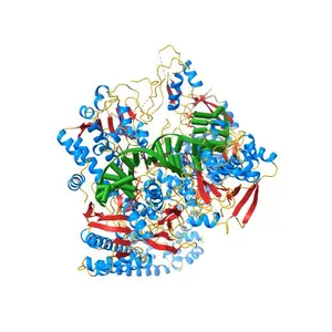 Quinolone(Levofloxacin)-DNA cleavage complex of gyrase from S. pneumoniae
