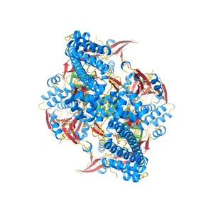 Detailed structural insight into the quinolone-DNA cleavage complex of type IIA topoisomerases