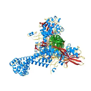 Quinolone(Levofloxacin)-DNA cleavage complex of type IV topoisomerase from S. pneumoniae