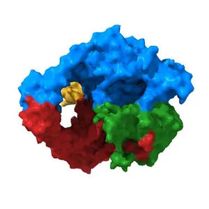 Crystal structure of a topoisomerase II complex