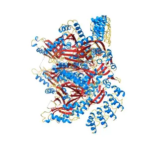 Levofloxacin bound structure of bacterial efflux pump.