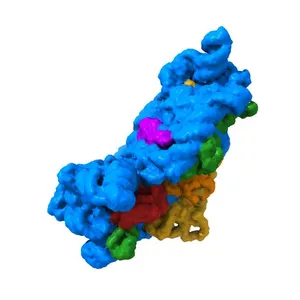 CRYSTAL STRUCTURE OF THE 30S RIBOSOMAL SUBUNIT FROM THERMUS THERMOPHILUS IN COMPLEX WITH TETRACYCLINE