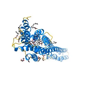 Crystal structure of the chimeric protein of 5-HT2B-BRIL in complex with ergotamine