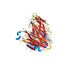 Structural Insights into the Extracellular Recognition of the Human Serotonin 2B Receptor by an Antibody