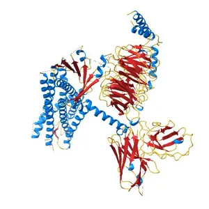 Cryo-EM structure of the human EP3-Gi signaling complex