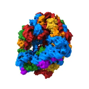 Crystal Structure of the 70S ribosome with tetracycline.