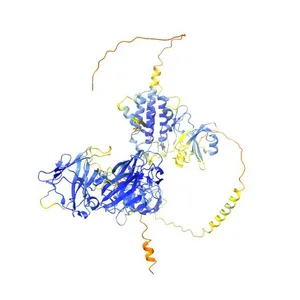 RLK-V1.1