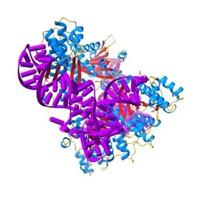 Crystal structure of C. albicans tRNA(His) guanylyltransferase (Thg1) with a G-1 deleted tRNA(His)